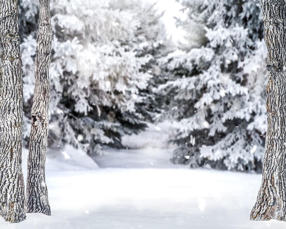 Kate Winter Forest Snow Backdrop Designed by Arica Kirby -UK