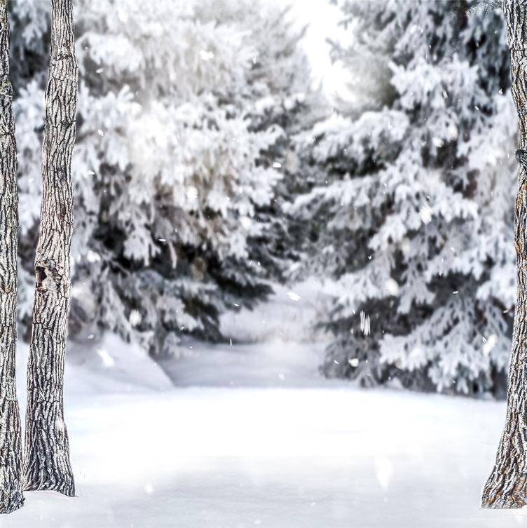 Kate Winter Forest Snow Backdrop Designed by Arica Kirby -UK