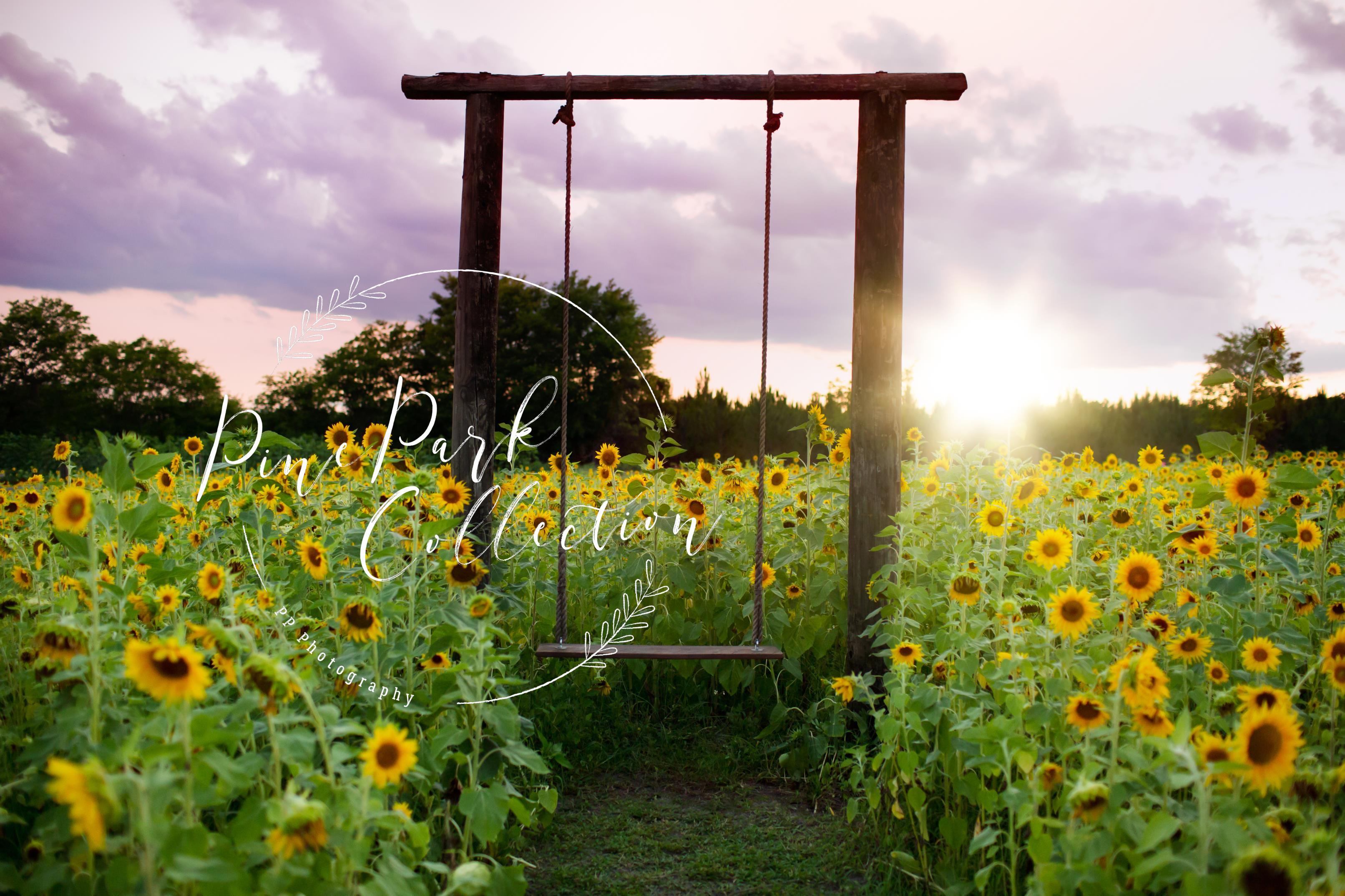 Kate Summer Sunflower Swing Backdrop Designed by Pine Park Collection -UK