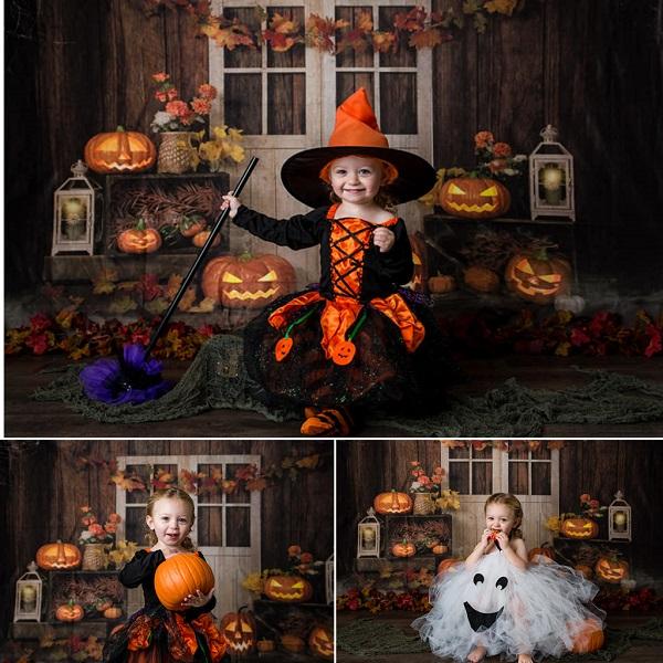 Kate Autumn/Thanksgiving Pumpkins Lights Backdrop Designed by Jia Chan Photography -UK