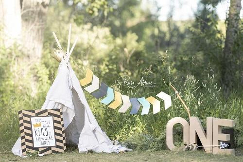 Kate Outdoor Tent One Birthday Backdrop Designed By Rose Abbas -UK